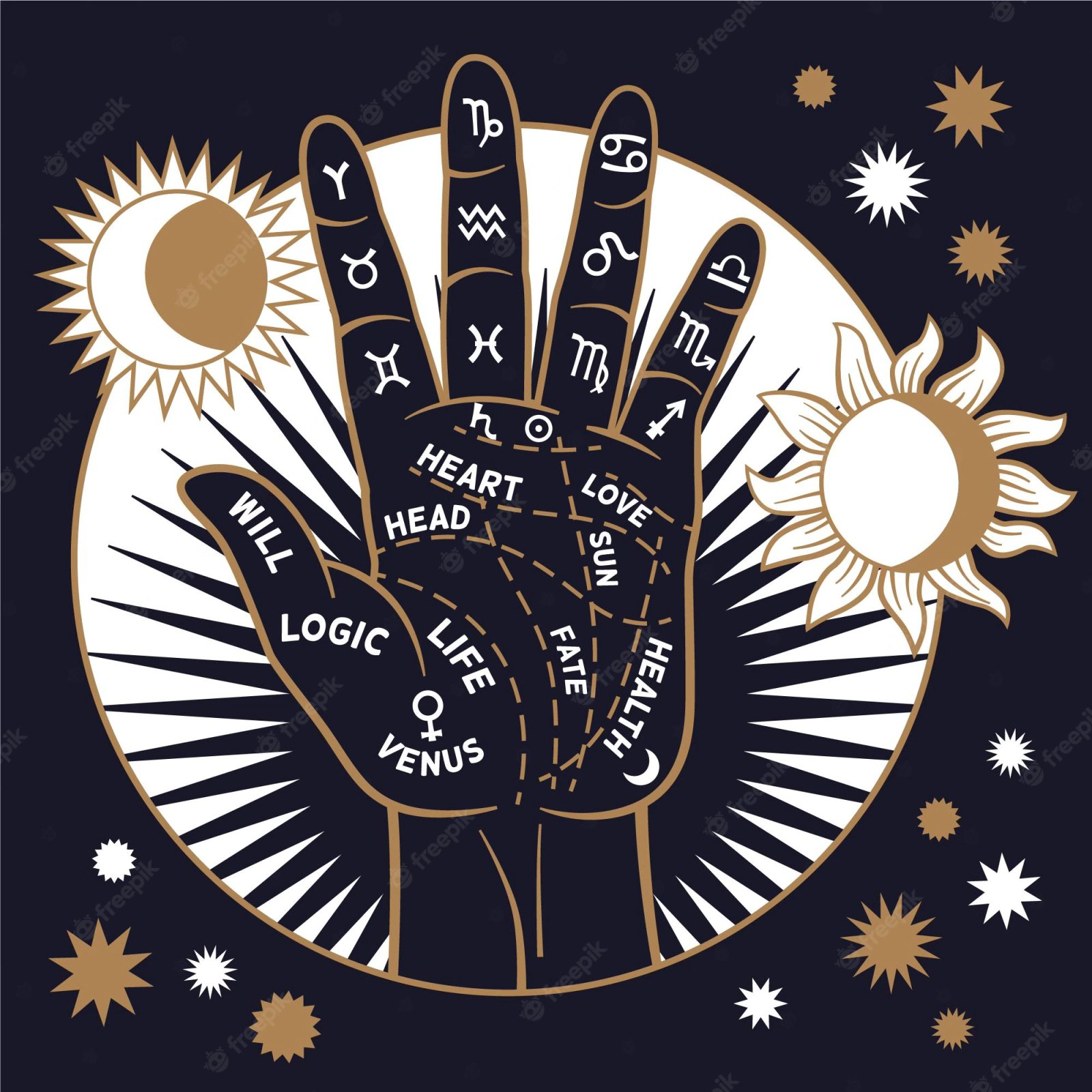 Palm Reading